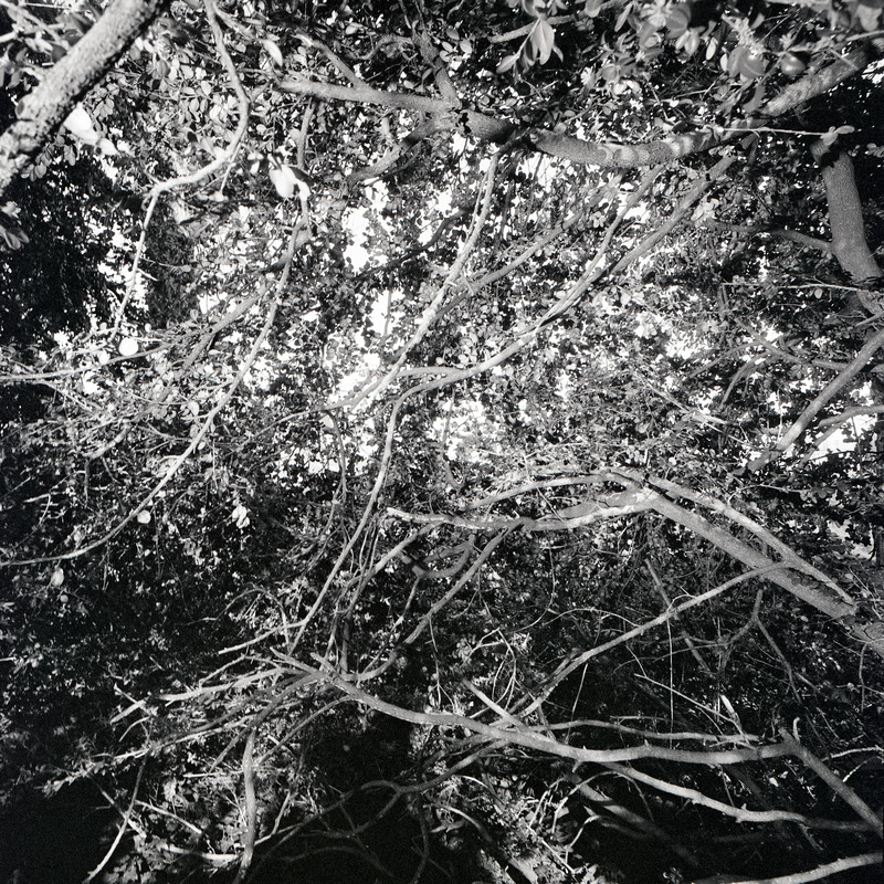 St Cloud 3/fr11 Michael Kolster St. Cloud archival pigment print