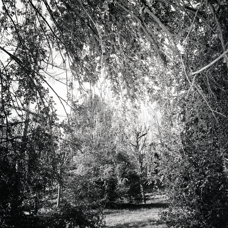 St Cloud 3/fr12 Michael Kolster St. Cloud archival pigment print