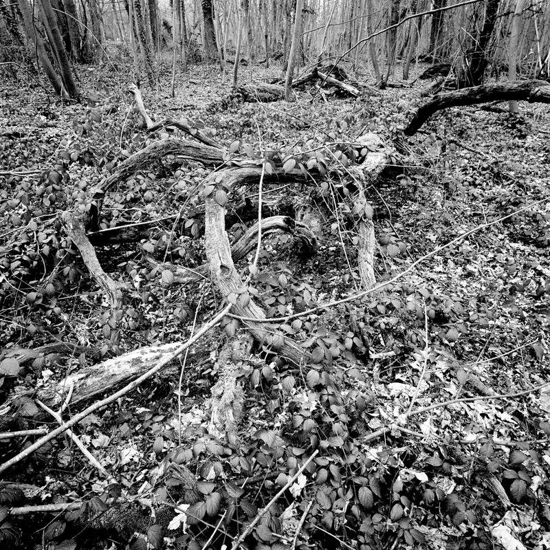 St Cloud 4/fr3 Michael Kolster St. Cloud archival pigment print