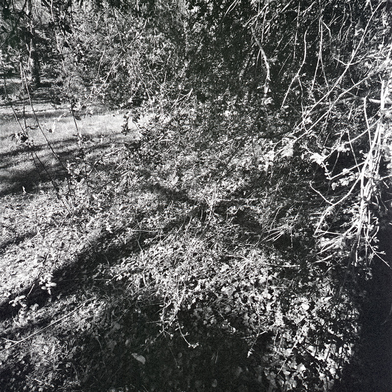 St Cloud 3/fr7 Michael Kolster St. Cloud archival pigment print