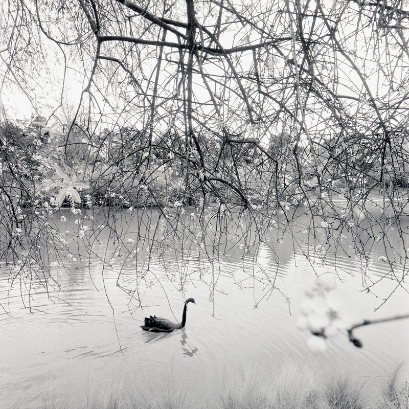 Montsouris 2/fr4 Michael Kolster Montsouris archival pigment print