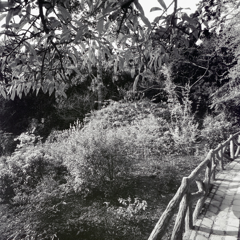 Montsouris 1/fr11 Michael Kolster Montsouris archival pigment print