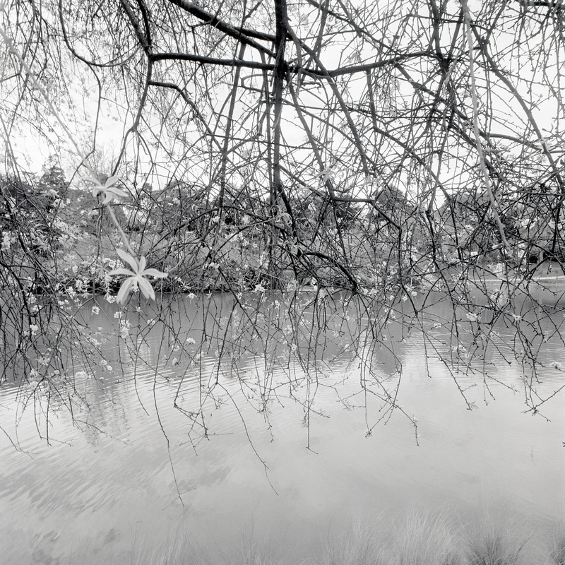 Montsouris 2/fr5 Michael Kolster Montsouris archival pigment print