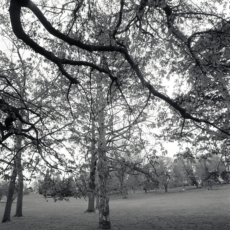 Montsouris 3/fr10 Michael Kolster Montsouris archival pigment print