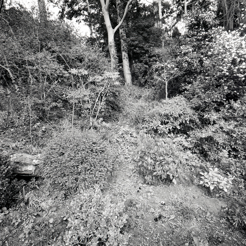 Montsouris 5/fr12 Michael Kolster Montsouris archival pigment print