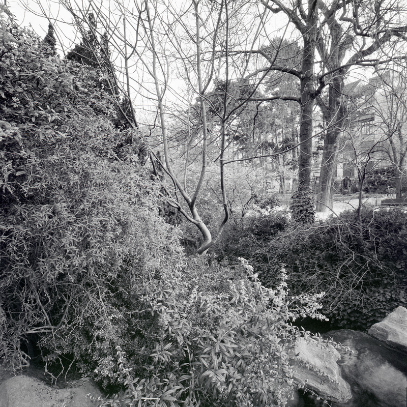 Montsouris 5/fr7 Michael Kolster Montsouris archival pigment print