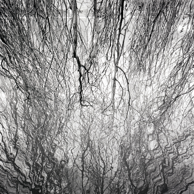 Montsouris 6/fr4 Michael Kolster Montsouris archival pigment print