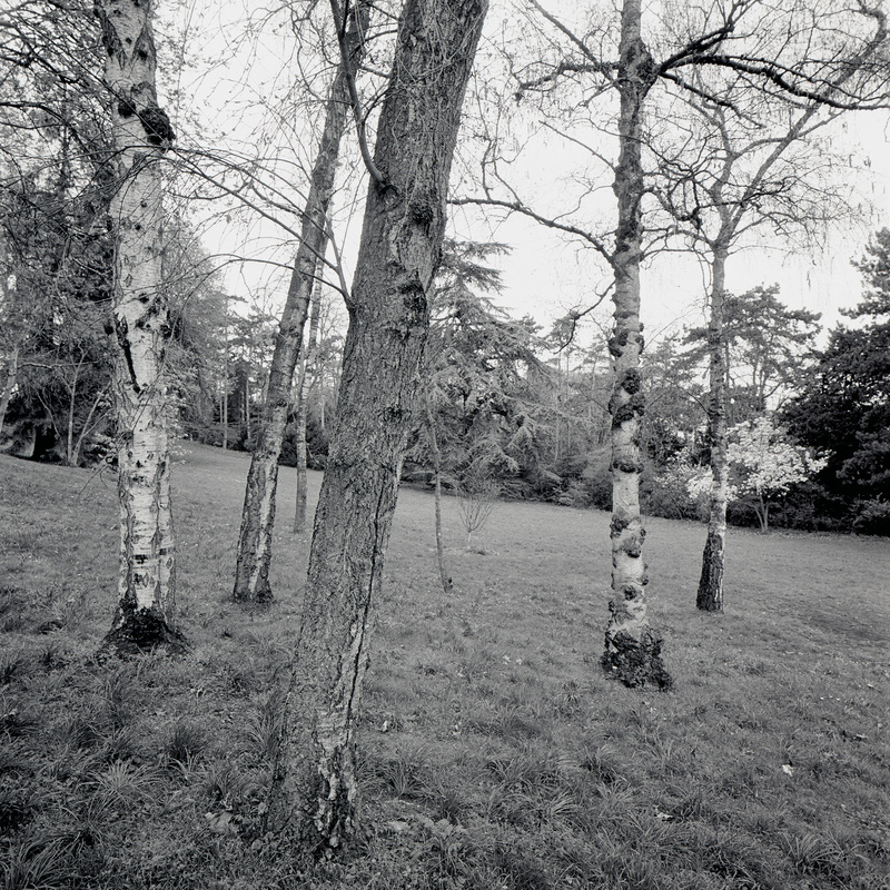 Montsouris 6/fr5 Michael Kolster Montsouris archival pigment print