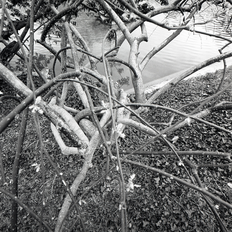 Montsouris 6/fr7 Michael Kolster Montsouris archival pigment print