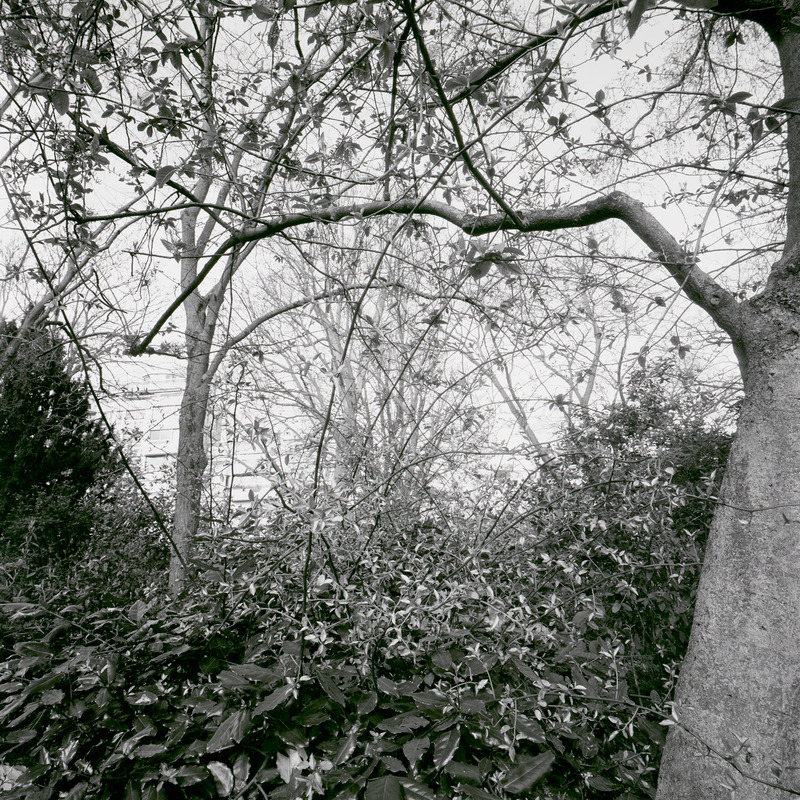 Montsouris 7/fr6 Michael Kolster Montsouris archival pigment print