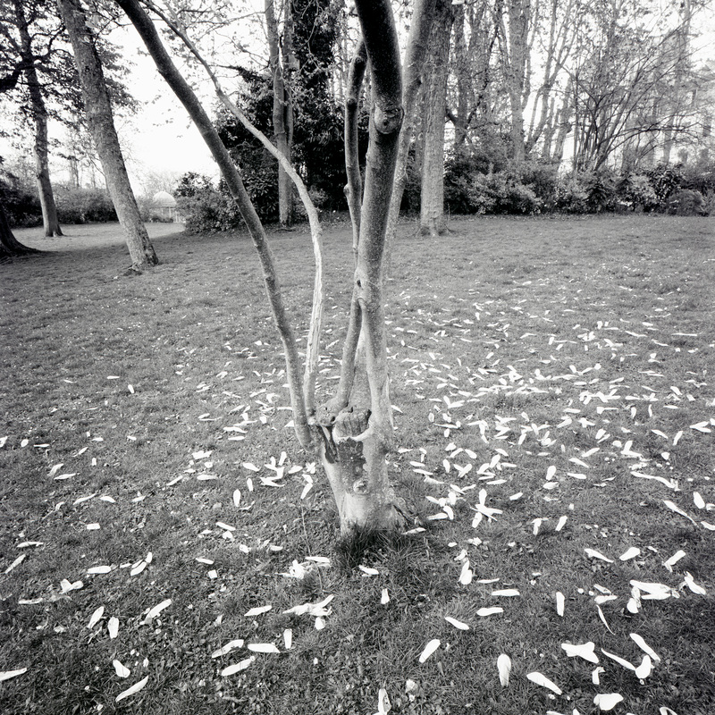 Montsouris 7/fr10 Michael Kolster Montsouris archival pigment print