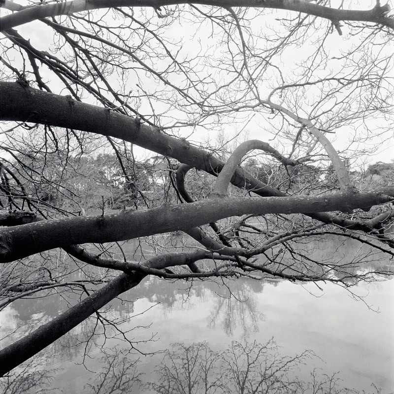 Montsouris 2/fr7 Michael Kolster Montsouris archival pigment print