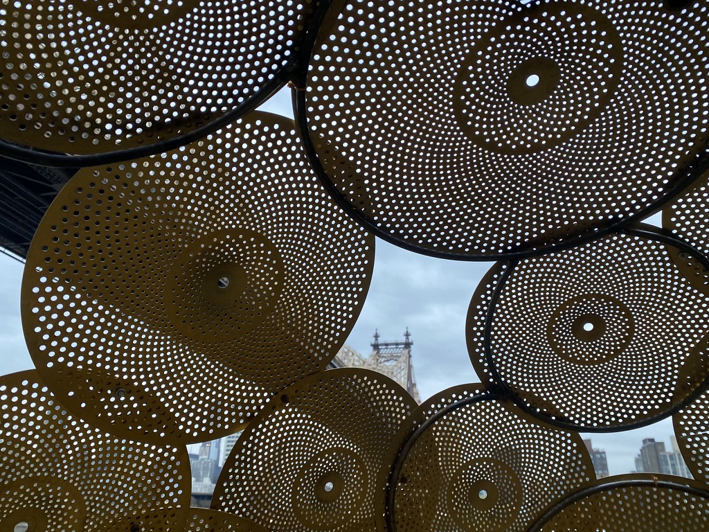 MIGGY BUCK Public Work MIGGY BUCK Public Work