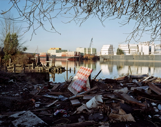 Lily's Linoleum On the Duwamish