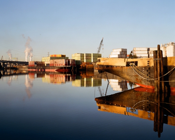 Lily's View On the Duwamish