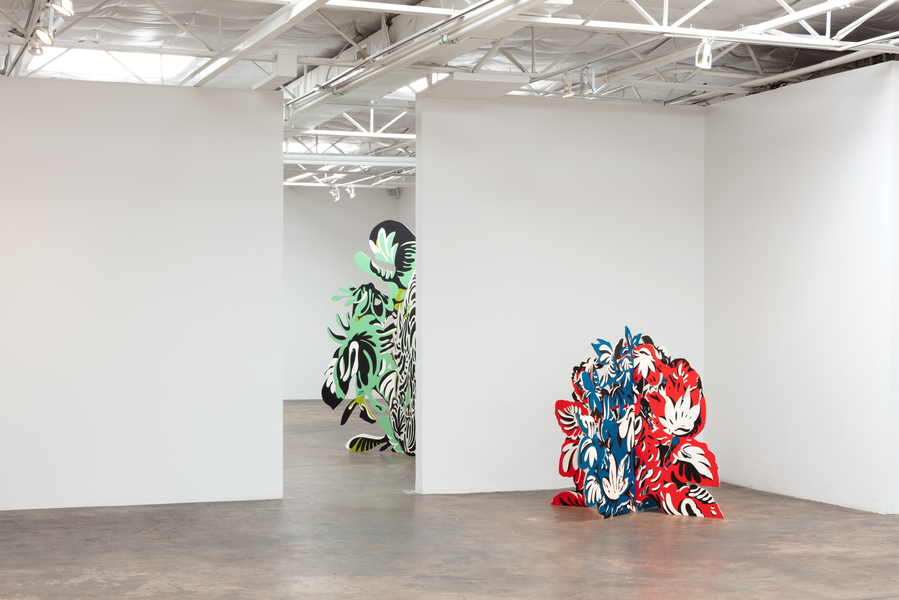 Seedling Installation view Natasha Bowdoin Seedling