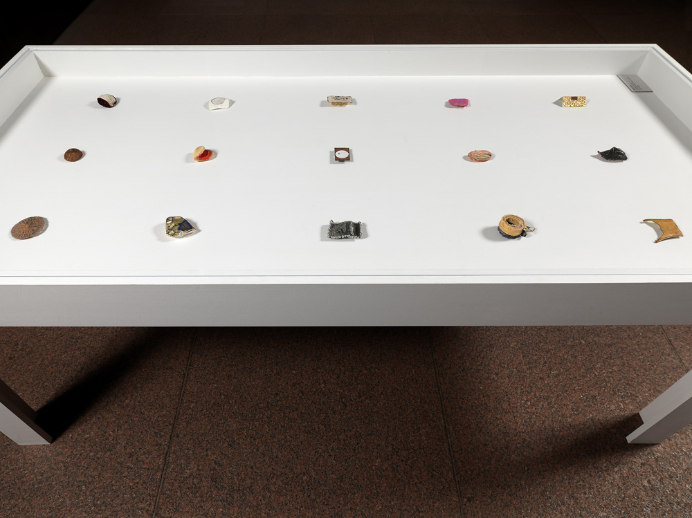Vitrine Installation View for "Drishti: A concentrated Gaze" Nicola Ginzel INSTALLATION VIEWS