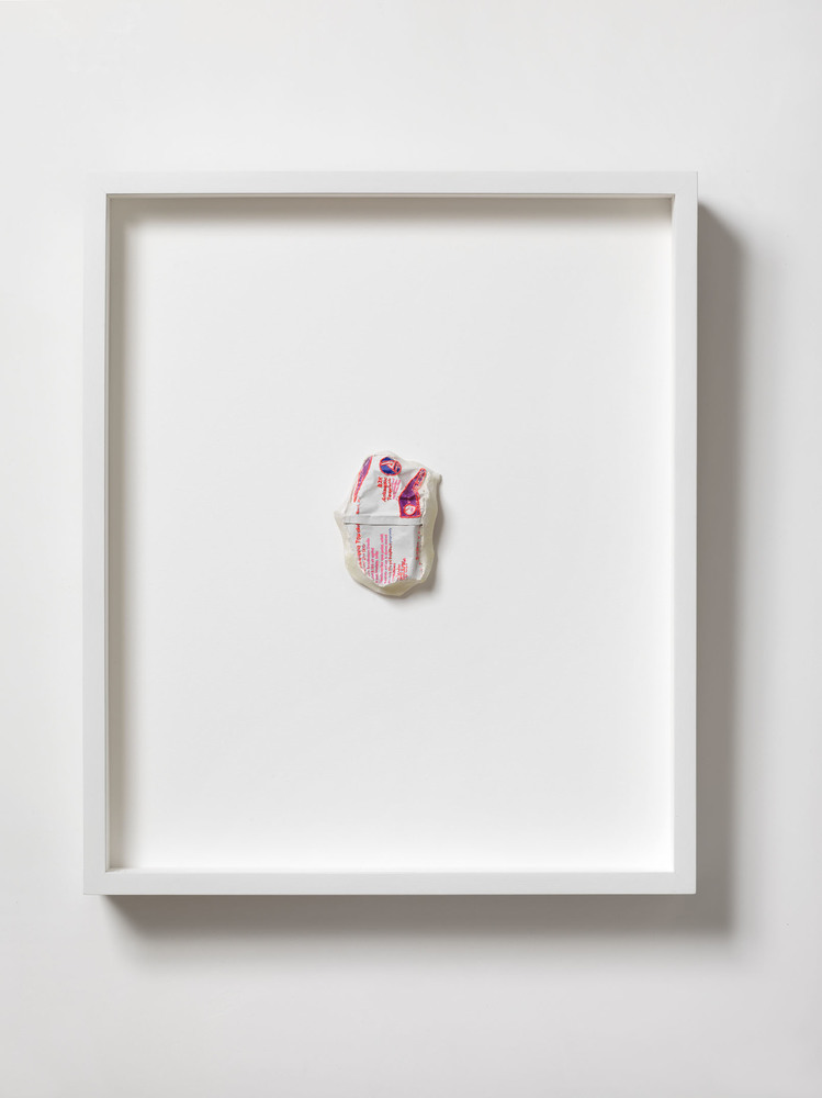 Fluorescent Element: Untitled Kneecap - framed Nicola Ginzel ARTWORK overview Fluorescent Element: Untitled Kneecap