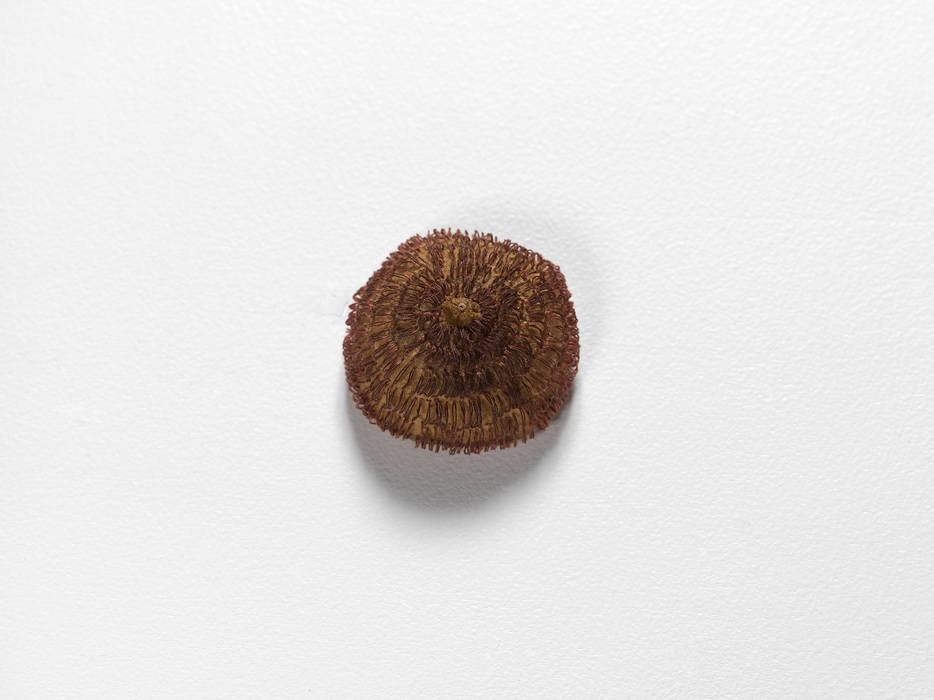 Circle Series Element, No. 31 Nicola Ginzel Archive/ Selected Transformed Objects Lemon, embroidered with thread by hand
