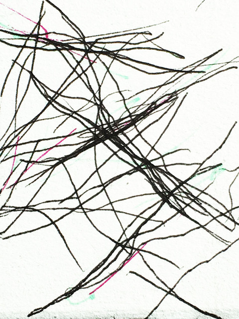 Timed Responses (Branches) No. 9; 1 Minute 4 Seconds Timed Responses. (Branches). 2015. Ink on Paper