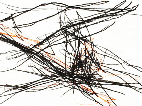 Timed Responses (Branches) No. 8; 3 Minutes 6 Seconds Timed Responses. (Branches). 2015. Ink on Paper