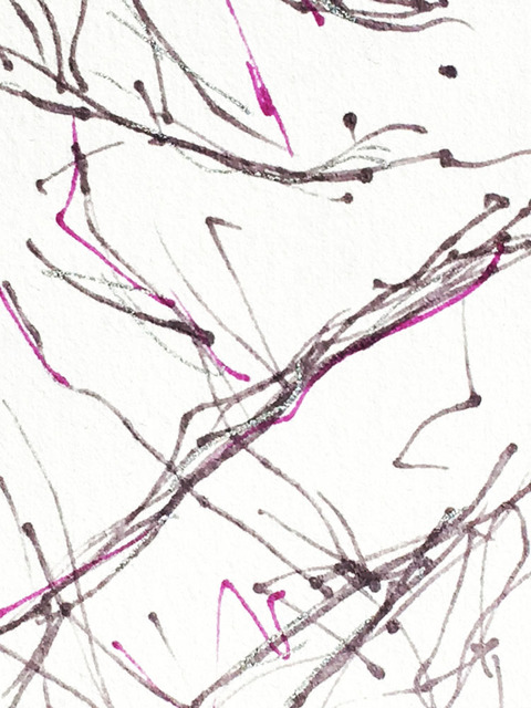 Timed Responses (Branches) No. 12; 1 Minuts 3 Seconds Timed Responses. (Branches). 2015. Ink on paper