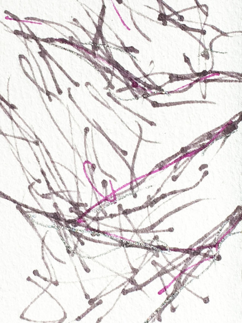 Timed Responses (Branches) No. 16; 1 Minute 8 Seconds Timed Responses. (Branches). 2015. Ink on paper
