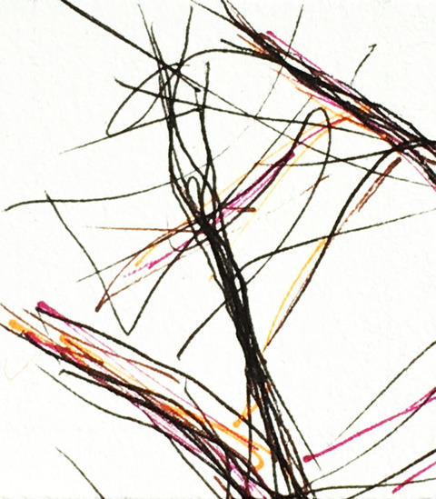 Timed Responses (Branches) No. 7; 1 Minute 12 Seconds Timed Responses. (Branches). 2015. Ink on Paper