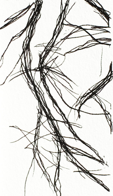 Timed Responses (Branches) No. 2; 3 Minutes 26 Seconds Timed Responses. (Branches). 2015. Ink on Paper