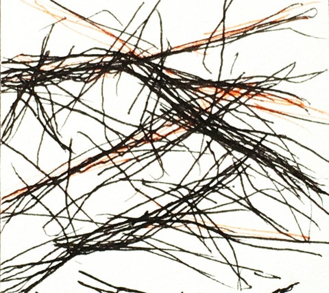 Timed Responses (Branches) No. 6; 2 Minutes 56 Seconds Timed Responses. (Branches). 2015. Ink on Paper