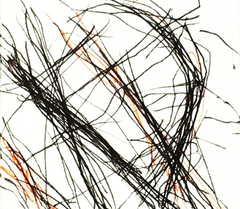 Timed Responses (Branches) No. 5; 2 Minutes 14 Seconds Timed Responses. (Branches). 2015. Ink on Paper
