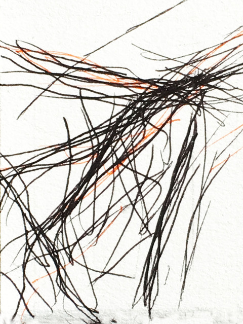 Timed Responses (Branches) No. 9; 1 Minute 12 Seconds Timed Responses. (Branches). 2015. Ink on Paper