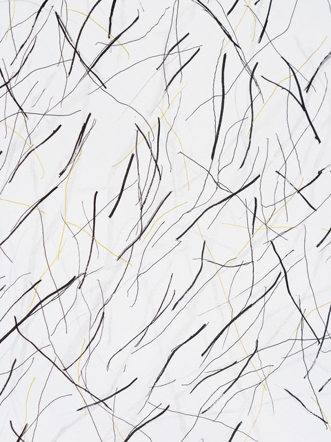 Time Lines (Branches and Wind) No.1, 1/28-2/10, 2016. (Phase 1) Time Lines (Wind) 2016. Ink and pencil on paper.