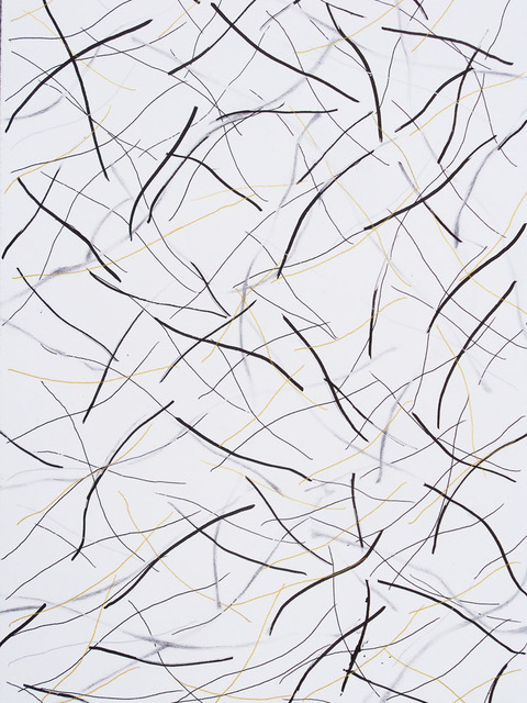 TIme Lines (Branches and Wind) No. 2, 3/02-3/10 2016; Phase 1 Time Lines (Wind) 2016. Ink and pencil on paper.