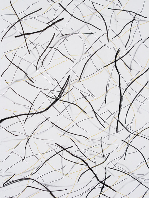 TIme Lines (Branches and Wind) No. 2, 3/02-3/10. (Phase 3) Time Lines (Wind) 2016. Ink, pencil ,and twine on paper.