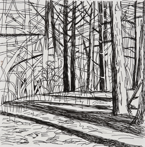 Woods Drawings 2010-2014 Ink on paper