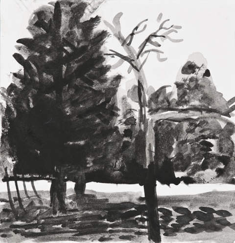 Woods Drawings 2010-2014 Ink on paper
