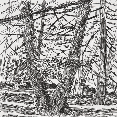 Woods Drawings 2010-2014 Ink on paper