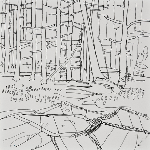 Woods Drawings 2010-2014 Ink on paper