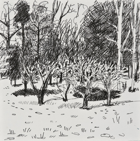 Woods Drawings 2010-2014 Ink on paper