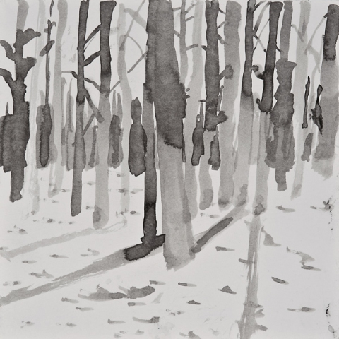 Woods Drawings 2010-2014 Ink on paper
