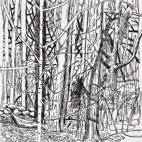 Woods Drawings 2010-2014 Ink on paper