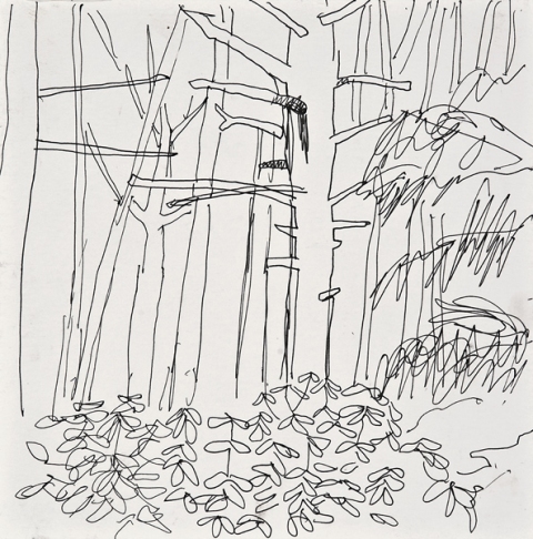 Woods Drawings 2010-2014 Ink on paper