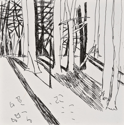 Woods Drawings 2010-2014 Ink on paper