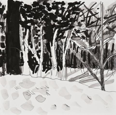 Woods Drawings 2010-2014 Ink on paper