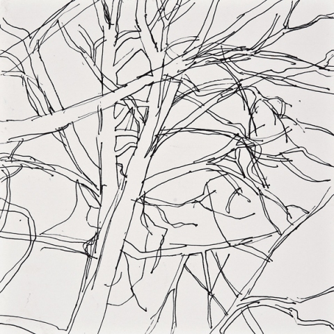 Woods Drawings 2010-2014 Ink on paper