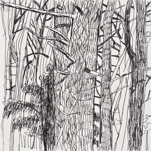 Woods Drawings 2010-2014 Ink on paper
