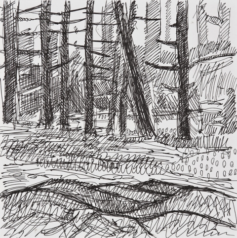 Woods Drawings 2010-2014 Ink on paper