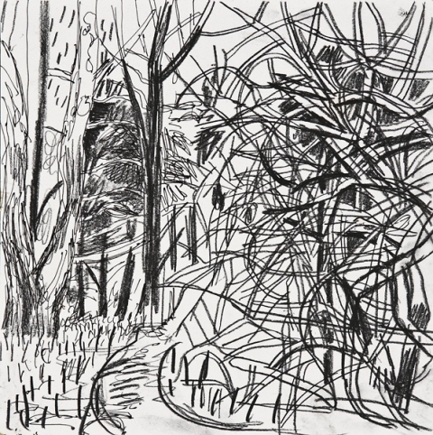 Woods Drawings 2010-2014 Ink on paper