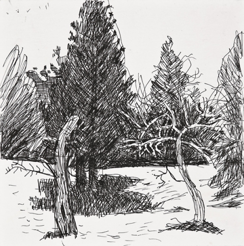 Woods Drawings 2010-2014 Ink on paper
